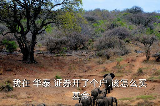 我在 華泰 證券開(kāi)了個(gè)戶(hù),該怎么買(mǎi) 基金