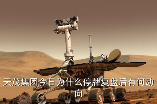 天茂集團(tuán)什么時(shí)候開盤，天茂集團(tuán)今日為什么停牌復(fù)盤后有何動(dòng)向