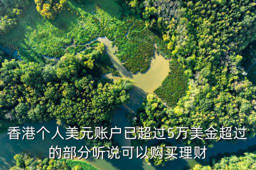 美元在香港投資什么比較好，香港個人美元賬戶已超過5萬美金超過的部分聽說可以購買理財