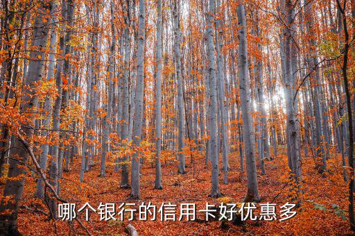 2016什么信用卡羊毛多，哪個銀行的信用卡好優(yōu)惠多