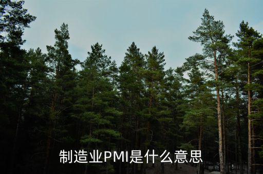 什么是pmi，制造業(yè)PMI是什么意思