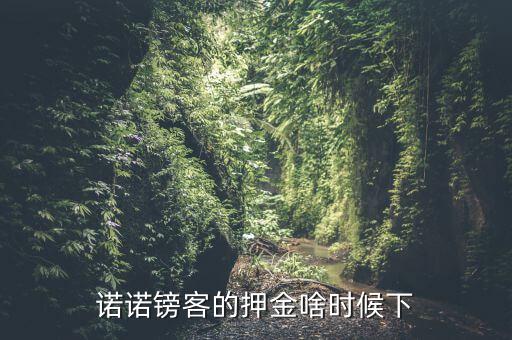 諾諾鎊客里的收本金額是什么，諾諾鎊客的押金啥時(shí)候下