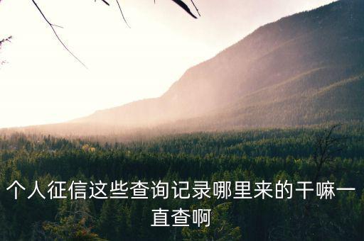 有些人大量查詢征信干什么，查征信有啥用