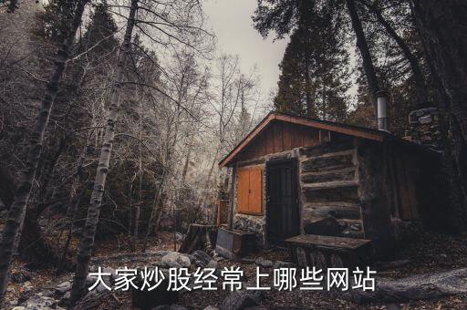 看股票都上什么網(wǎng)站，請問常用的網(wǎng)上交易股票的網(wǎng)站有那些