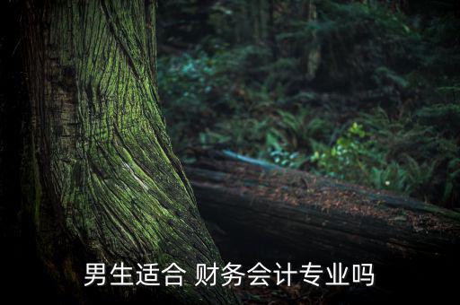 男財(cái)務(wù)怎么樣,一個(gè)合格的男會計(jì)最高境界是成為財(cái)務(wù)主任