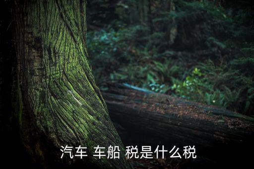 汽車車船稅是怎么樣,車船稅是對車輛、船舶征收的稅