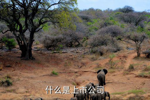 上市公司是什么意思，上市公司具體是什么意思