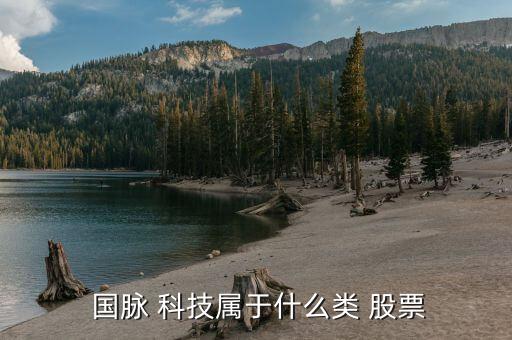  國(guó)脈 科技屬于什么類(lèi) 股票