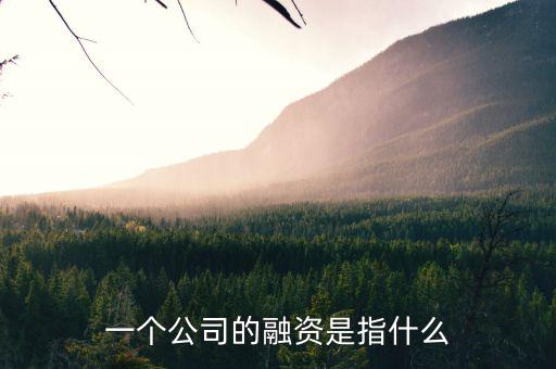什么叫融資，一個公司的融資是指什么