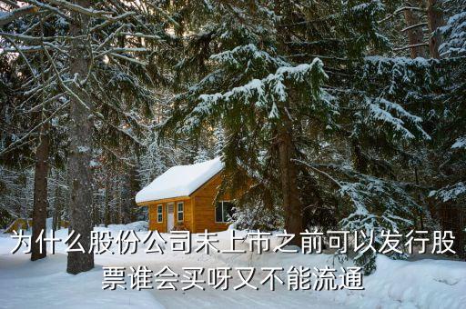 為什么發(fā)行股票就有人買，股票到底是什么為什么有那么多人買
