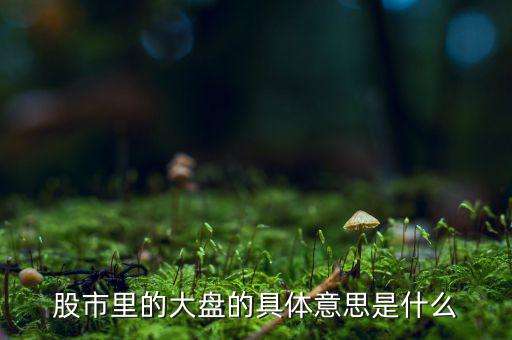 股票中大盤是什么意思，股市里的大盤的具體意思是什么