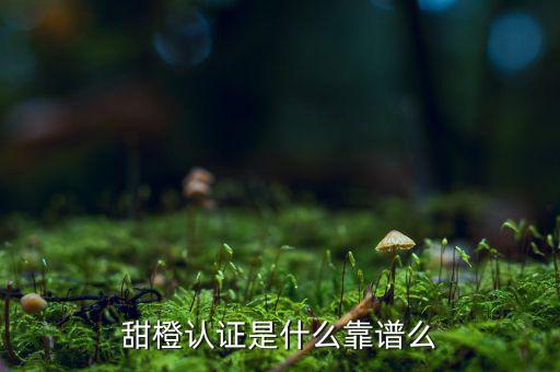甜橙金融公司是什么，便捷的網(wǎng)貸理財企業(yè)是什么