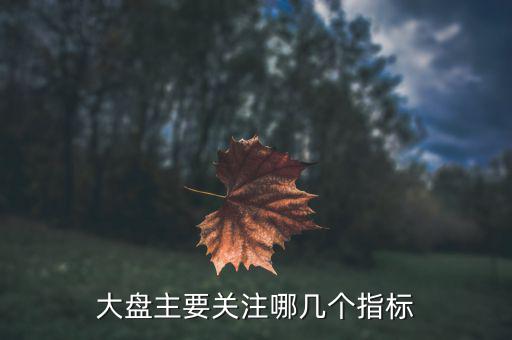 股市大盤關注什么指數(shù)，大家看大盤走勢都是看的哪個指數(shù)