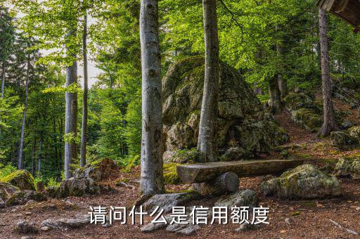 信用額度是什么意思，信用額度是什么意思