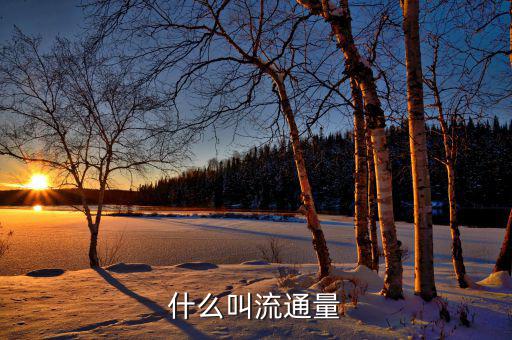 什么是流通卡量，什么叫流通量