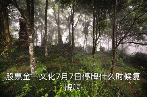 金一文化什么時(shí)候復(fù)牌，股票金一文化7月7日停牌什么時(shí)候復(fù)牌啊