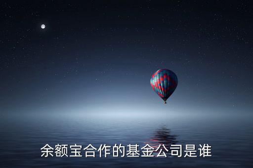 余額寶投資過(guò)什么公司，余額寶合作的基金公司是誰(shuí)