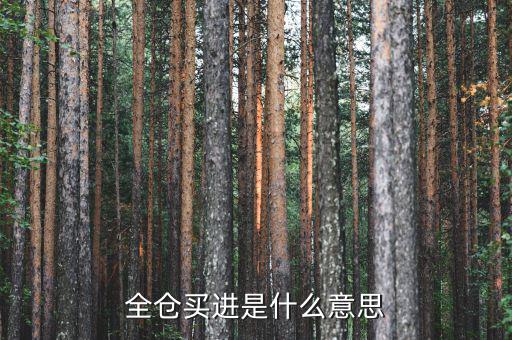 全倉(cāng)買入是什么意思，掛高全倉(cāng)買入什么意思