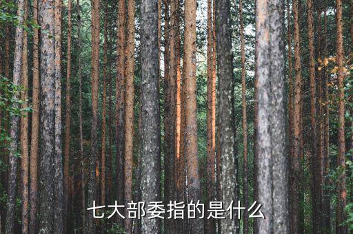 十七部委是什么，七大部委指的是什么
