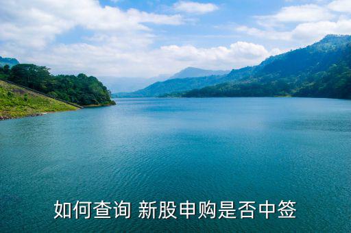 新股怎么查中簽,三個(gè)渠道可查詢(xún)新股中簽結(jié)果