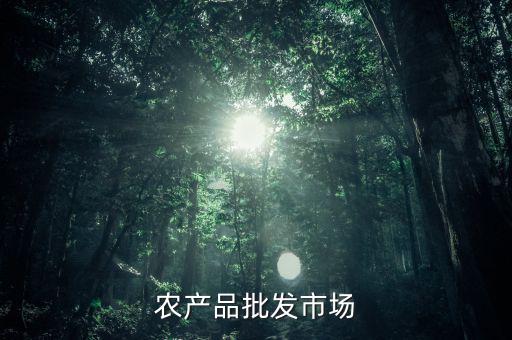 什么是公益性農(nóng)產(chǎn)品批發(fā)市場，談談如何加強和完善公益性農(nóng)貿(mào)市場建設