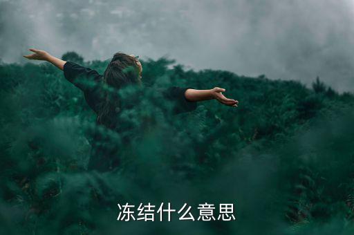 閃電貸凍結(jié)是什么意思，閃電借款什么叫凍結(jié)百分之80的額度意思是信用卡里面額度要多少錢
