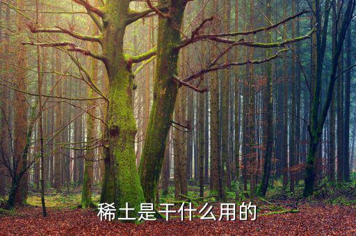 為什么稀土，日本為什么要進(jìn)口稀土 稀土是什么