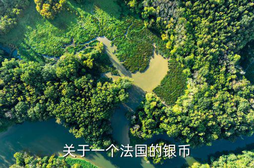 銀元什么是普品，關(guān)于一個(gè)法國(guó)的銀幣