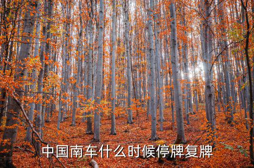 中國南車什么情況，中國南車跌停預(yù)示著大盤明天有什么狀況