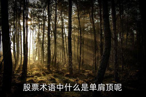 復(fù)肩頂股票里什么意思，頭頂肩在股市中是什么意思