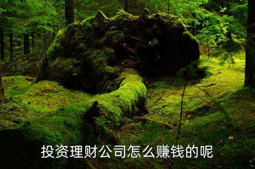 財牛投資靠什么賺錢，投資理財公司靠什么賺錢
