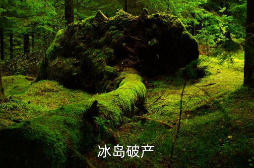 冰島破產(chǎn)是什么，冰島破產(chǎn)一個國家破產(chǎn)是什么意思國家會解體嗎會有什么后果