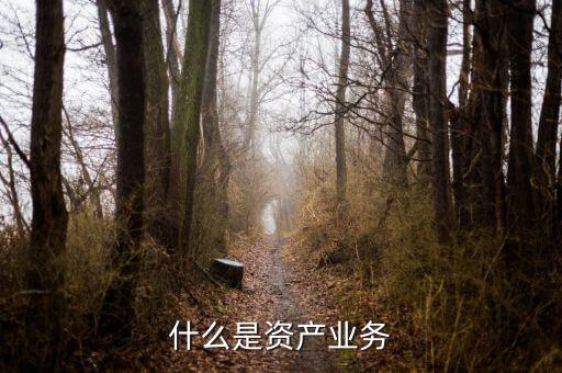 什么是大資產業(yè)務，商業(yè)銀行三大支柱業(yè)務是什么