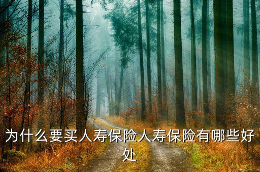 為什么買人壽，生意人為什么要買人壽保險