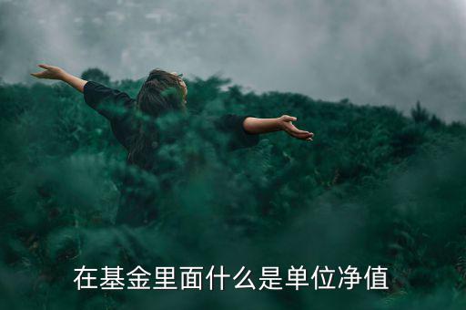 什么是基金單位凈值，基金單位凈值是什么意思