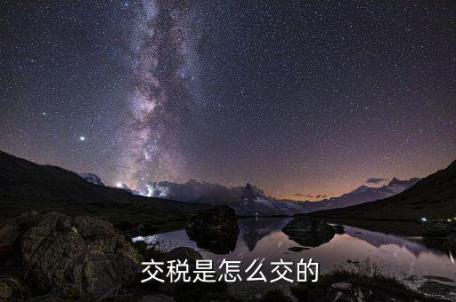 怎么交稅,納稅人須向主管國(guó)稅機(jī)關(guān)提交書(shū)面申請(qǐng)報(bào)告