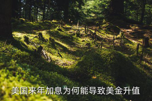 美聯(lián)儲加息為什么會使美元升值，美國來年加息為何能導(dǎo)致美金升值