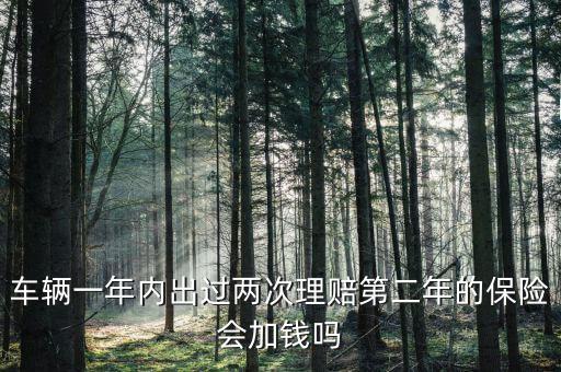 一年中兩次事故理培有什么影響，車輛一年內(nèi)出過兩次理賠第二年的保險會加錢嗎