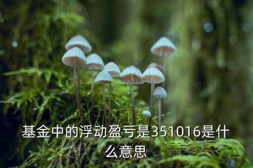 基金的浮動盈虧是什么意思，基金中的浮動盈虧是351016是什么意思