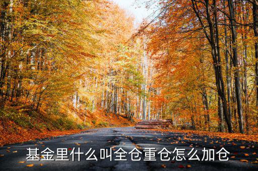 什么是基金加倉，基金里什么叫全倉重倉怎么加倉