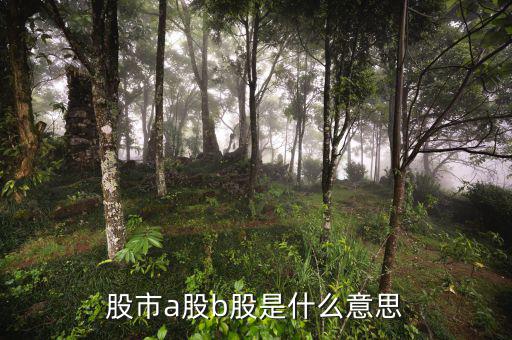 滬市a股是什么意思，什么是A股