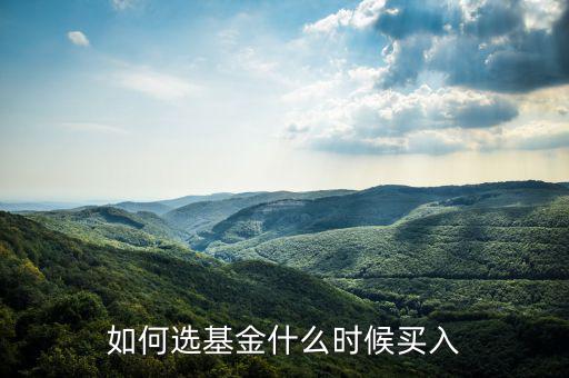 一只基金什么點(diǎn)買入好，我想買點(diǎn)基金哪一種比較好