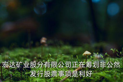宏達(dá)礦業(yè)什么重大事項(xiàng)，請(qǐng)教600687停盤說(shuō)是因?yàn)楹藢?shí)公司相關(guān)重大事項(xiàng)這個(gè)重大事項(xiàng)有知