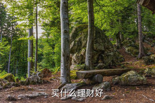 買(mǎi)什么理財(cái)產(chǎn)品，買(mǎi)什么理財(cái)好