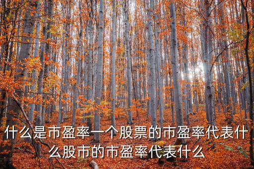 平均市盈率說明什么，什么是市盈率一個(gè)股票的市盈率代表什么股市的市盈率代表什么