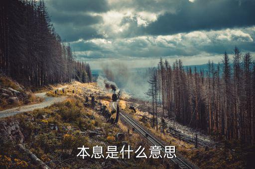本息兌付什么意思，請(qǐng)問兌付是什么意思啊