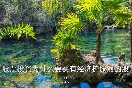 什么是股票投資的護城河理論，從基本面看證券投資的護城河是指哪幾類情況