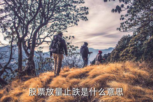 放量跌停說(shuō)明什么，量比暴漲股票跌停說(shuō)明什么