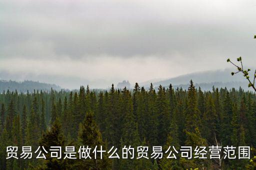 民百集團(tuán)經(jīng)營(yíng)什么，貿(mào)易公司是做什么的貿(mào)易公司經(jīng)營(yíng)范圍