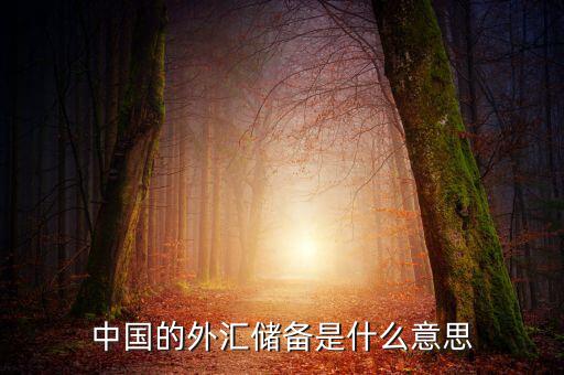 中國外匯儲備包括什么，我國外匯儲備